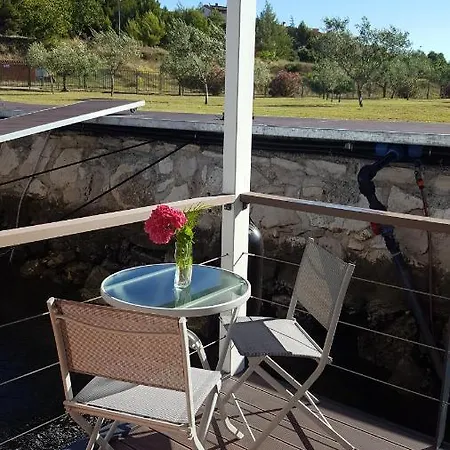 Floating House Sunflower *